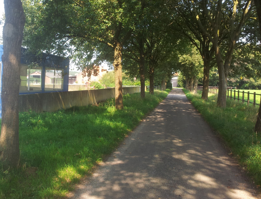 afbeelding "i_NL.IMRO.0865.bgWPdenhoek-ON01_0005.jpg"