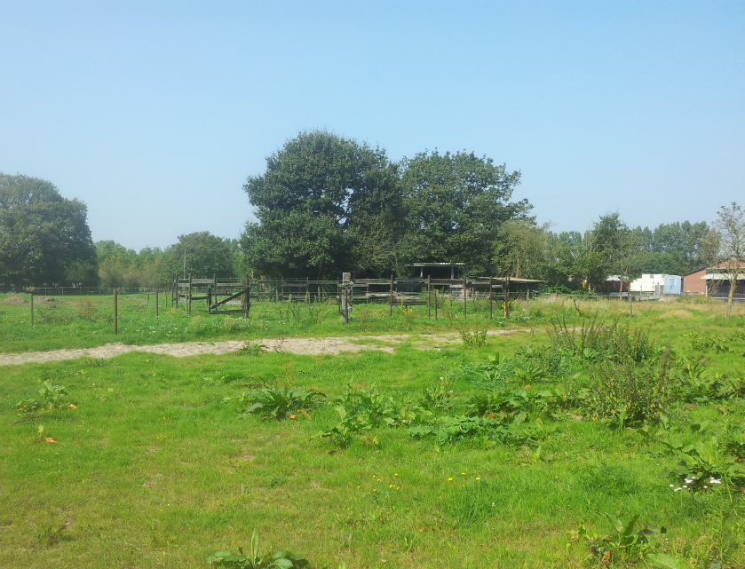 afbeelding "i_NL.IMRO.0865.bgWPdenhoek-ON01_0009.jpg"