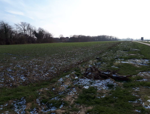 afbeelding "i_NL.IMRO.0881.OMVEGZonneweide-VA01_0006.png"