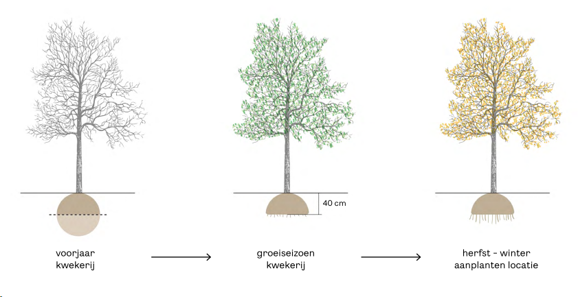 afbeelding "i_NL.IMRO.0881.OMVEGZonneweide-VA01_0024.png"