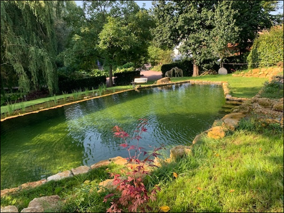 afbeelding "i_NL.IMRO.1954.Terstraten1-ON01_0008.png"