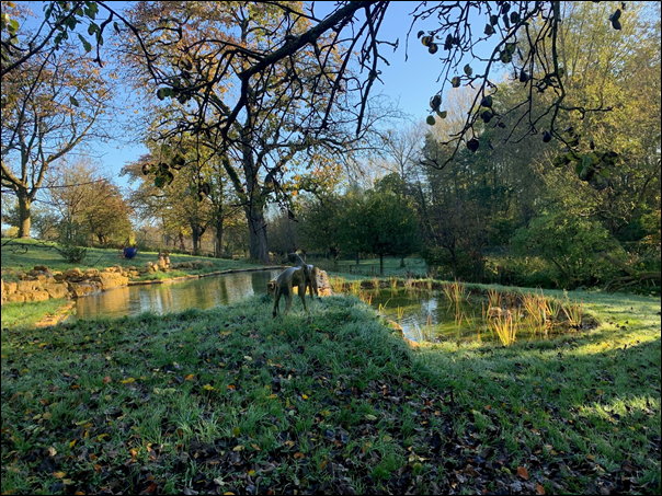 afbeelding "i_NL.IMRO.1954.Terstraten1-ON01_0010.png"